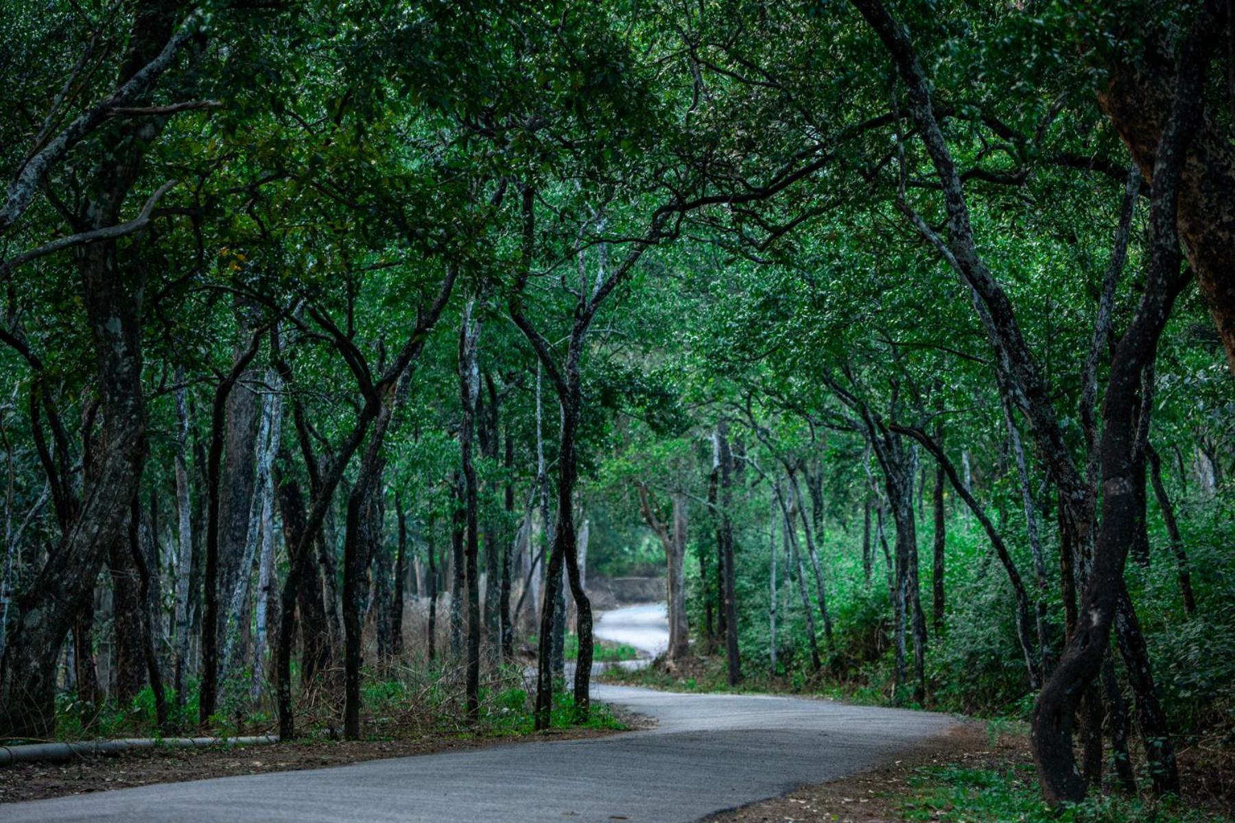 Nature Tones By Brdge Hospitality Maraiyūr Extérieur photo