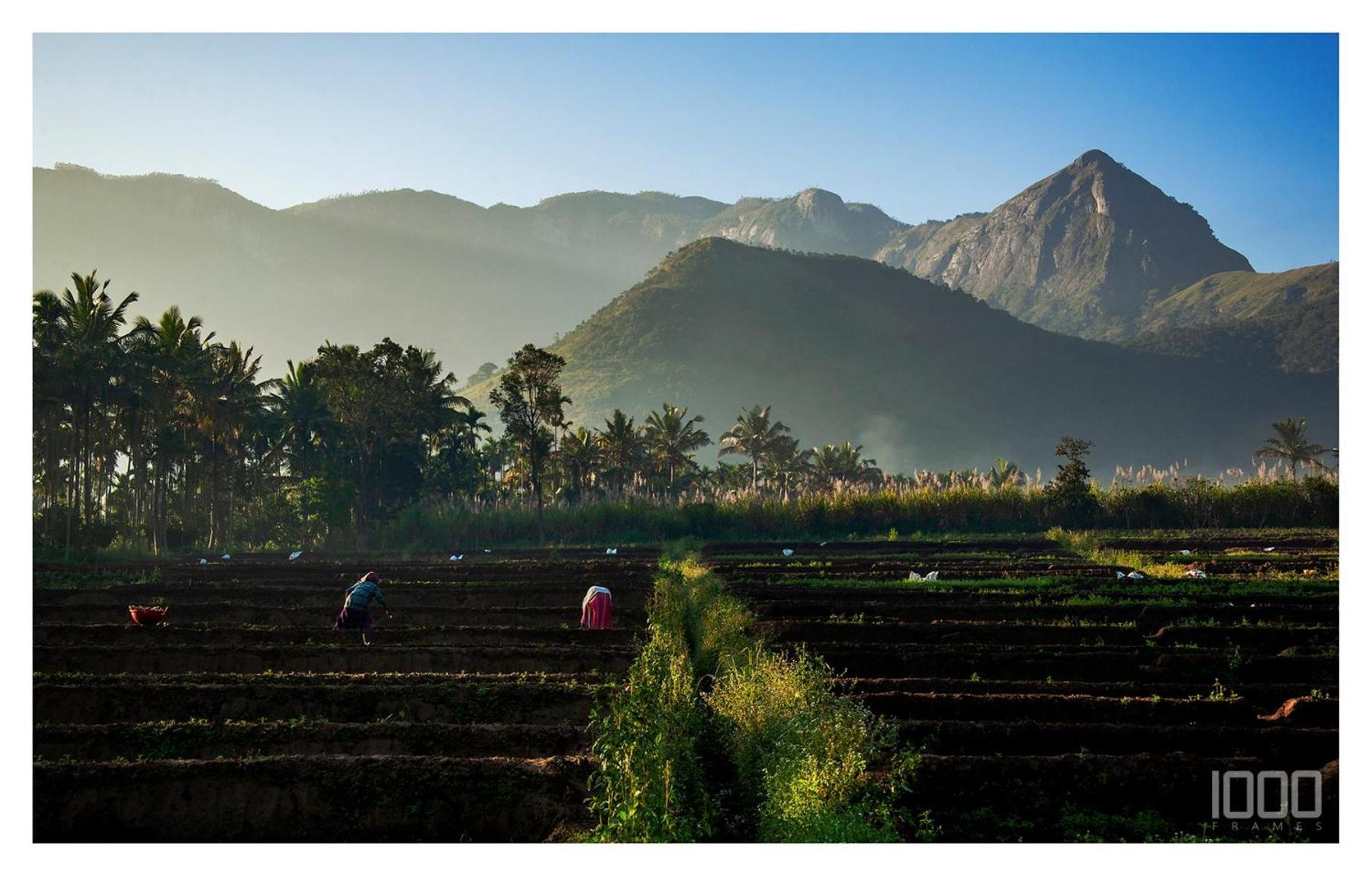 Nature Tones By Brdge Hospitality Maraiyūr Extérieur photo