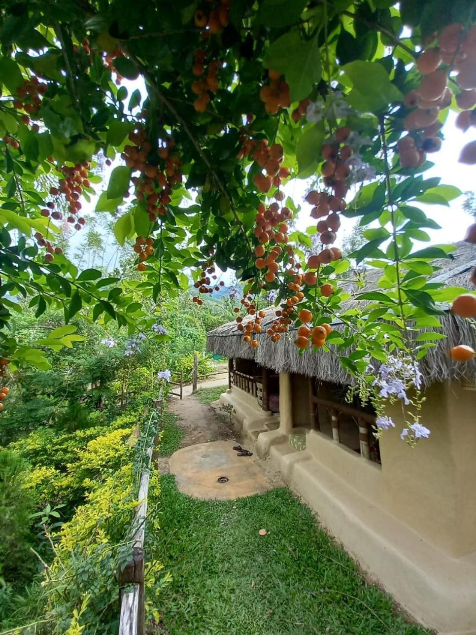 Nature Tones By Brdge Hospitality Maraiyūr Extérieur photo