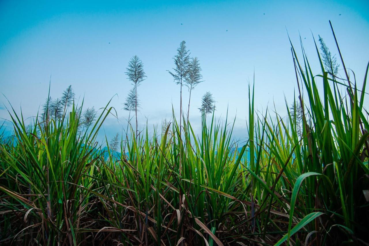 Nature Tones By Brdge Hospitality Maraiyūr Extérieur photo
